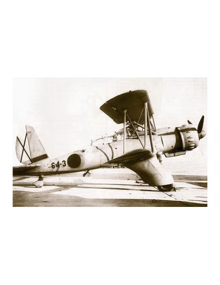 Arado Ar95 land