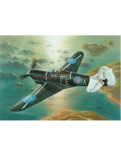 Kittyhawk Mk.III (Long Fuselage P-40K)