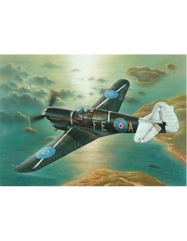 Kittyhawk Mk.III (Long Fuselage P-40K)