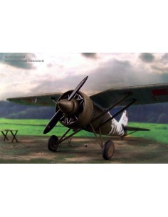 P-7a Transylvanian Fighter 2