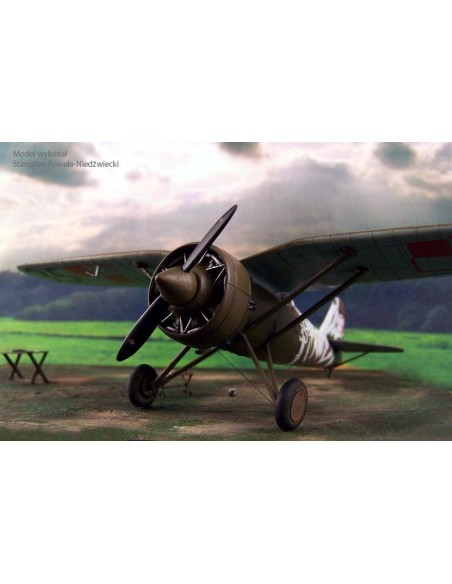 P-7a Transylvanian Fighter