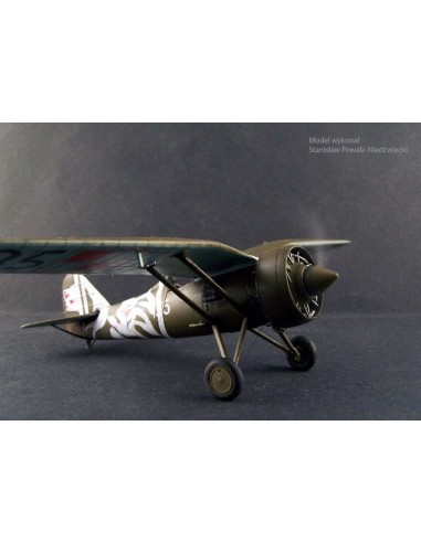 P-7a Transylvanian Fighter