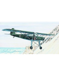 Fieseler Fi-156 Storch 2