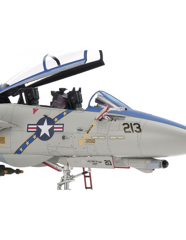 Grumman F-14D Tomcat