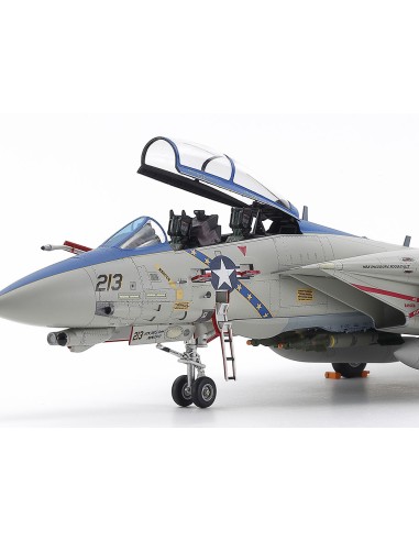 Grumman F-14D Tomcat