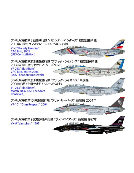 Grumman F-14D Tomcat