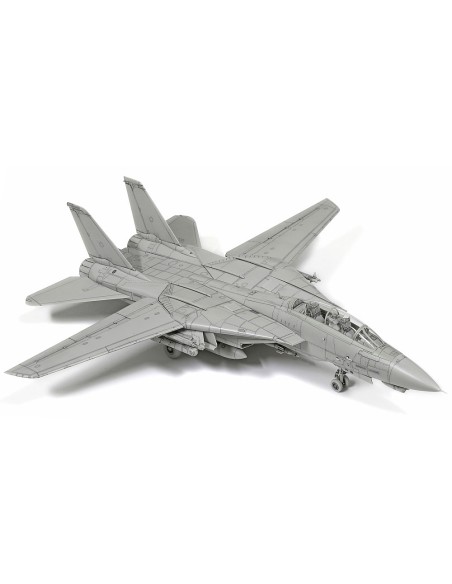 Grumman F-14D Tomcat