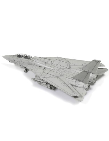 Grumman F-14D Tomcat