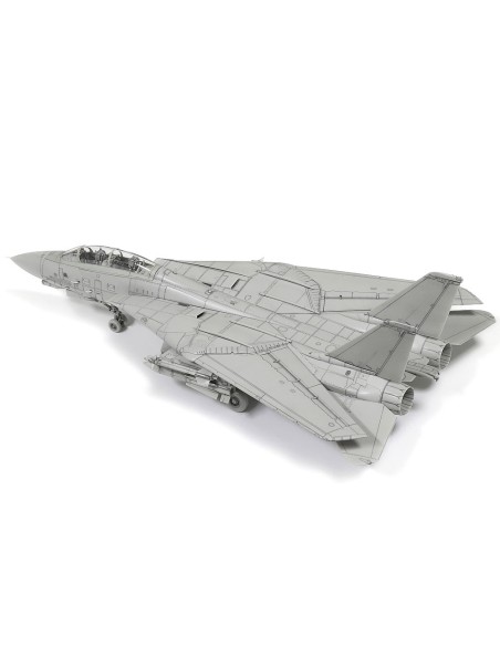 Grumman F-14D Tomcat