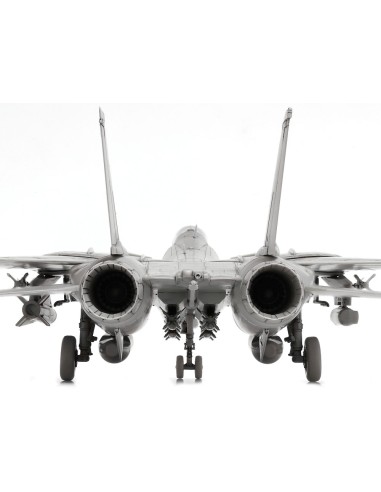 Grumman F-14D Tomcat