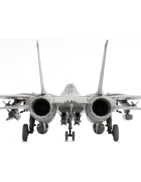 Grumman F-14D Tomcat