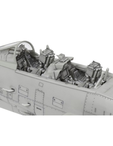 Grumman F-14D Tomcat