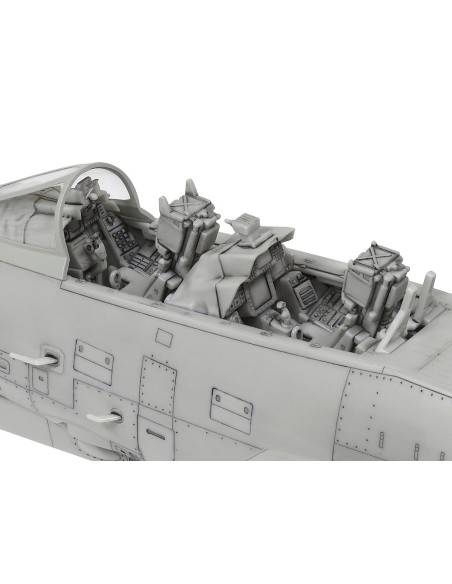 Grumman F-14D Tomcat