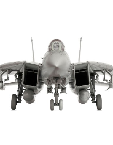 Grumman F-14D Tomcat