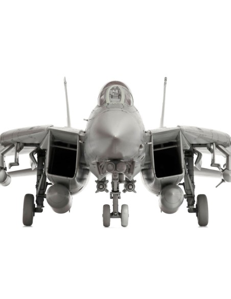 Grumman F-14D Tomcat