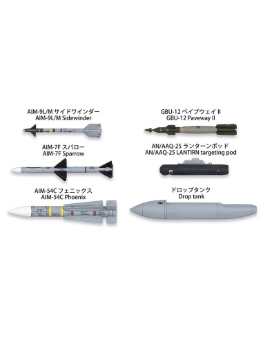 Grumman F-14D Tomcat