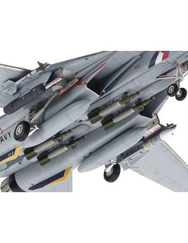 Grumman F-14D Tomcat