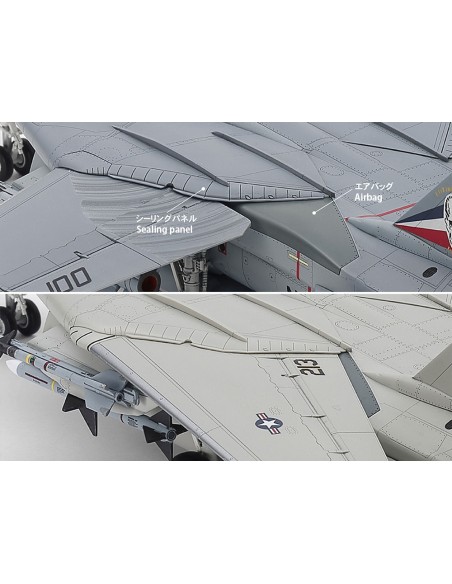 Grumman F-14D Tomcat