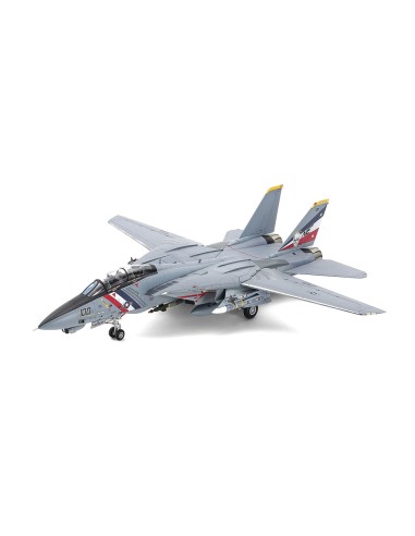 Grumman F-14D Tomcat