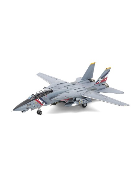 Grumman F-14D Tomcat