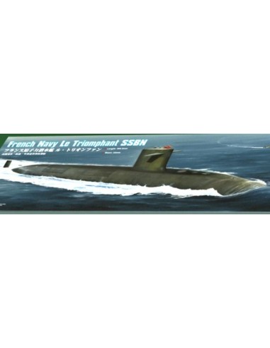 French Navy Le Triomphant (SSBN)