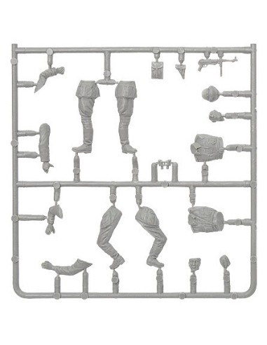 German WWII Officers & Drivers