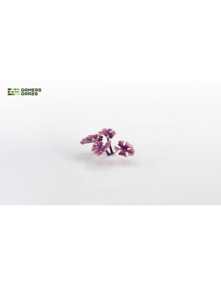 LASER PLANTS - ALIEN MONSTERA