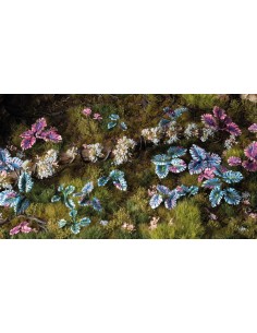 LASER PLANTS - ALIEN MONSTERA