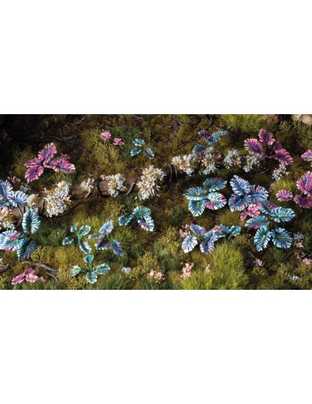 LASER PLANTS - ALIEN MONSTERA