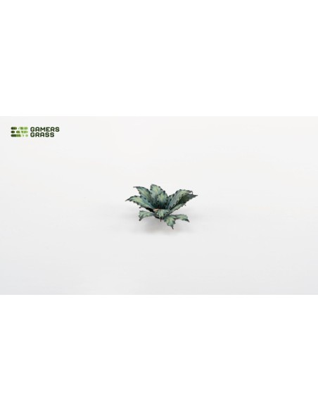 LASER PLANTS - BLUE AGAVE