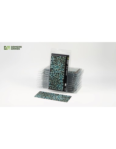 LASER PLANTS - BLUE AGAVE