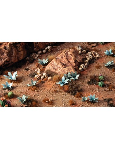 LASER PLANTS - BLUE AGAVE