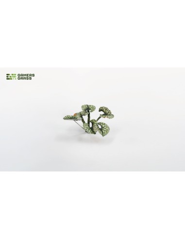 LASER PLANTS - BUGLOSS