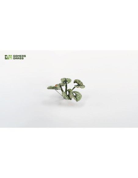 LASER PLANTS - BUGLOSS