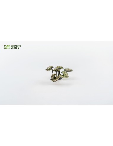 LASER PLANTS - BUGLOSS