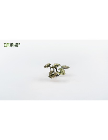 LASER PLANTS - BUGLOSS