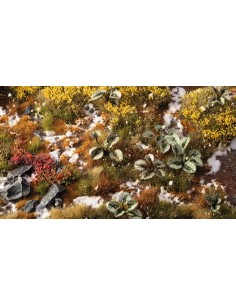 LASER PLANTS - BUGLOSS