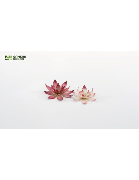 LASER PLANTS - LOTUS FLOWER