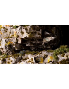 MUSGO OSCURO DIMINUTO (2 mm)