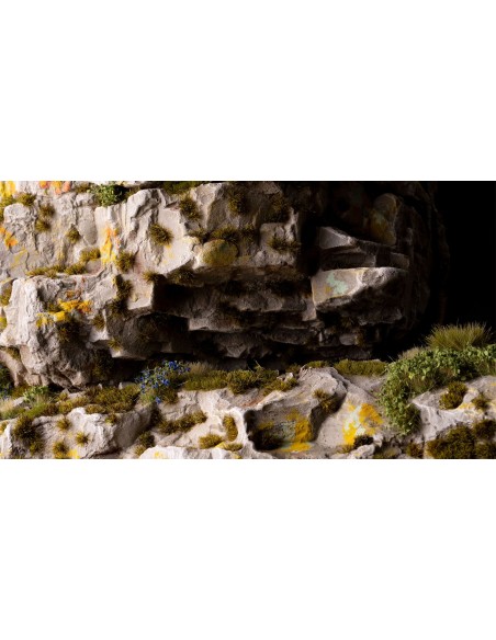 MUSGO OSCURO DIMINUTO (2 mm)