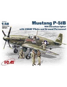 North American Mustang P-51B US WW2 Fighter with US AF...