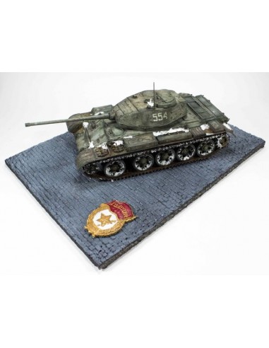 PLACA GUARDIA SOVIÉTICA