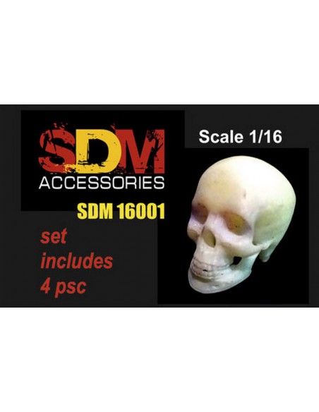 CRÁNEOS 1/16