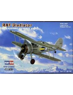 RAF Gladiator Easy Assembly