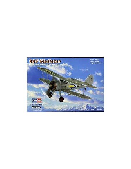 RAF Gladiator Easy Assembly