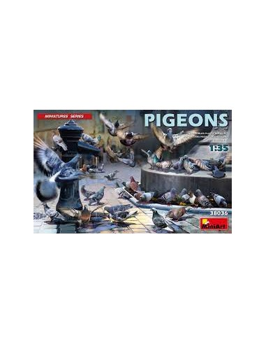 Pigeons