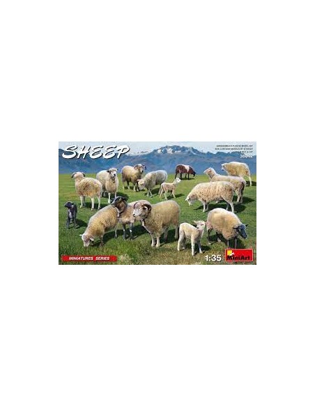 Sheep