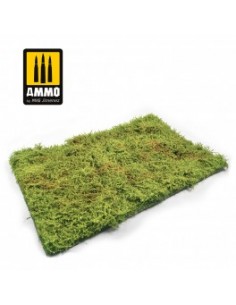 CAMPOS SILVESTRES CON ARBUSTOS - PRIMAVERA