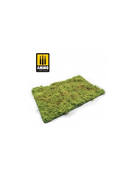 CAMPOS SILVESTRES CON ARBUSTOS - PRIMAVERA