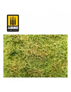 CAMPOS SILVESTRES CON ARBUSTOS - PRIMAVERA 2